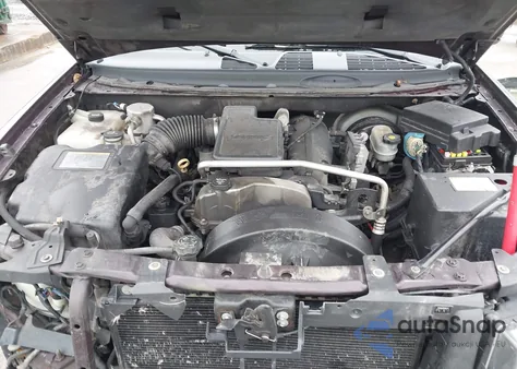 2009 Chevrolet Trailblazer Lt z USA, uszkodzony, nr VIN 1GNDT33S892101304